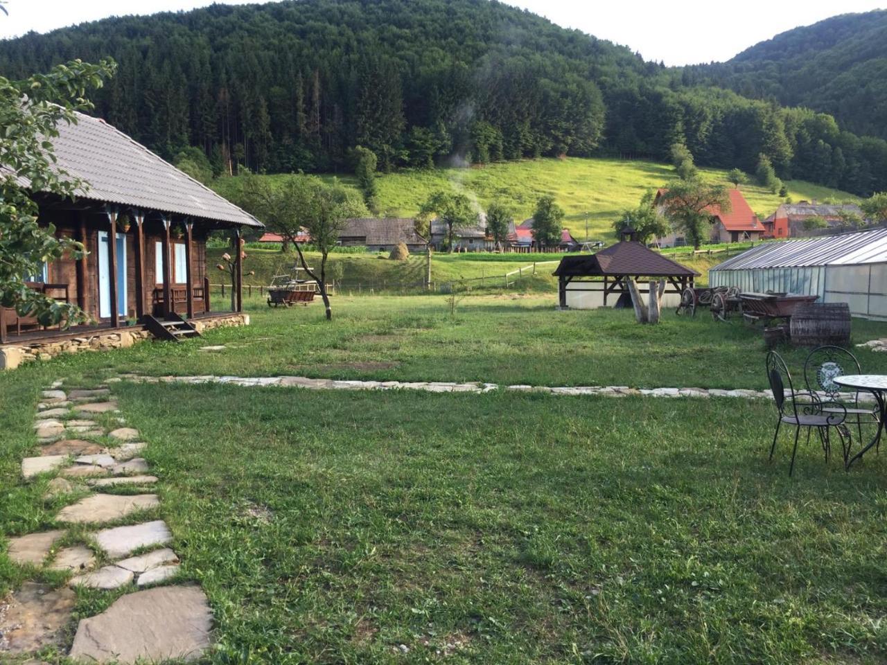 Gospodaria Lui Nea Ion Vama Buzăului Exterior foto