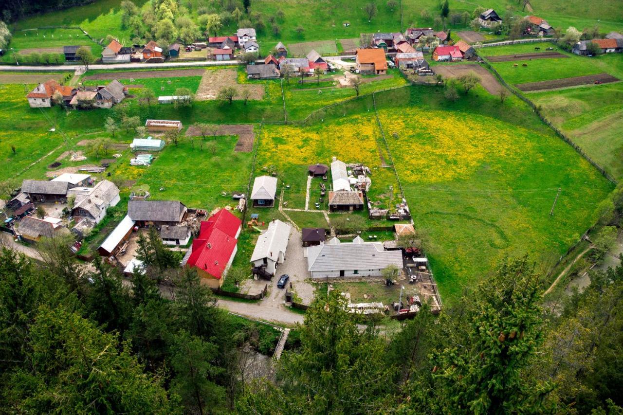 Gospodaria Lui Nea Ion Vama Buzăului Exterior foto